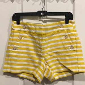 High waisted shorts from Ann Taylor Loft